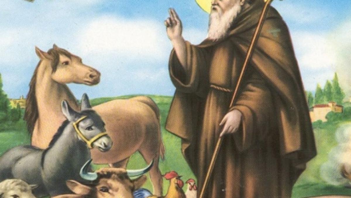 Sant Antonio Abate Storia Festa E Tradizione Del 17 Gennaio