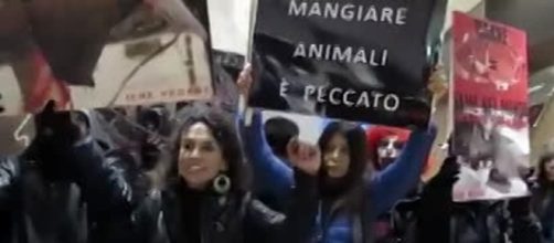 Milano, animalisti al McDonald's in Duomo: "Assassini" | VIDEO Video - milanotoday.it