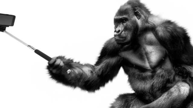 Il terzo millennio è l'era del selfie, mania universale ma non uguale per tutti. Foto: pixabay