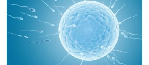 Vita utile degli spermatozoi - Loutraki News