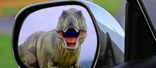 Decisamente improbabile oggi vedere un dinosauro dallo specchietto mentre si è in auto nel traffico ma non si sa mai! Foto: pixabay