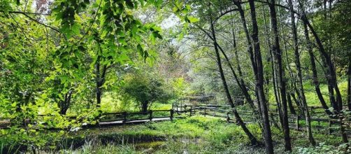 Milano: week-end fuori porta al Parco di Montevecchia tra bellissimi boschi
