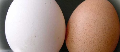 Uova di gallina - Tutto sulle uova | Alimentipedia: enciclopedia ... - alimentipedia.it