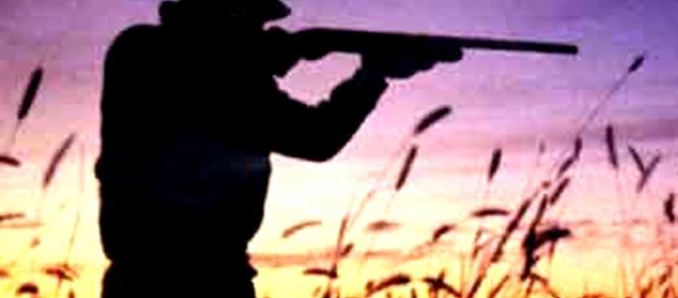 Germania, cacciatore spara e uccide ragazzo: credeva fosse un cinghiale Germania, cacciatore spara e uccide ragazzo: credeva fosse un cinghiale
