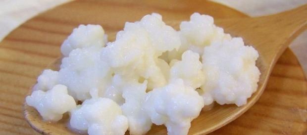 Kefir de leite pode ser inserido às refeições de quem busca mais qualidade de vida e saúde Kefir de leite pode ser inserido às refeições de quem busca mais qualidade de vida e saúde