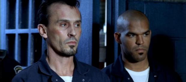 Robert Knepper quer algo fresco para T-Bag na 5ª temporada de Prision Break. Robert Knepper quer algo fresco para T-Bag na 5ª temporada de Prision Break.