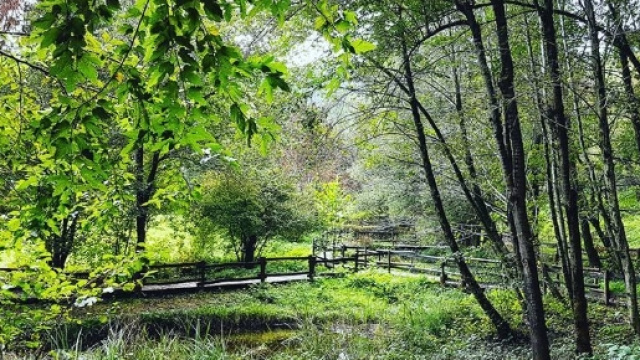 Milano: week-end fuori porta al Parco di Montevecchia tra bellissimi boschi