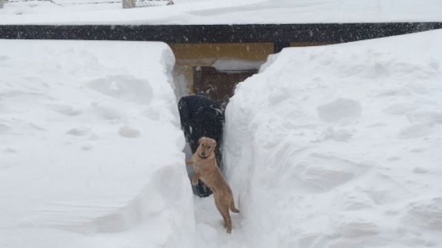 Neve, abbondanti nevicate in tutto l'Abruzzo