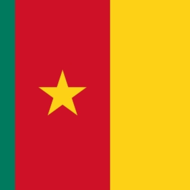 Drapeau Cameroun - Interantional CC BY 2.0