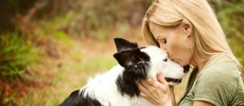 Baciare e farsi baciare dal cane potrebbe essere dannoso