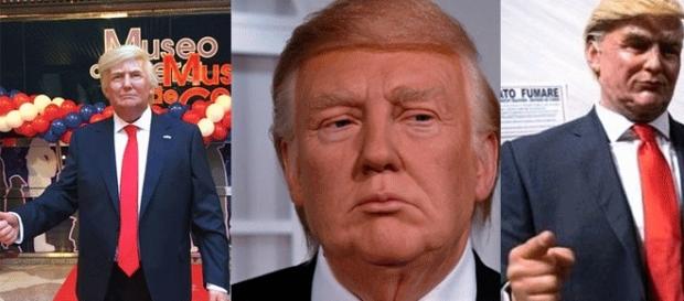 De g. à d. : le Trump de cire madrilène, londonien et romain. La mite Neopalpa donaltrumpican est beaucoup moins attrayante... De g. à d. : le Trump de cire madrilène, londonien et romain. La mite Neopalpa donaltrumpican est beaucoup moins attrayante...