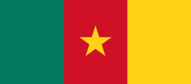Drapeau Cameroun - Interantional CC BY 2.0 Drapeau Cameroun - Interantional CC BY 2.0