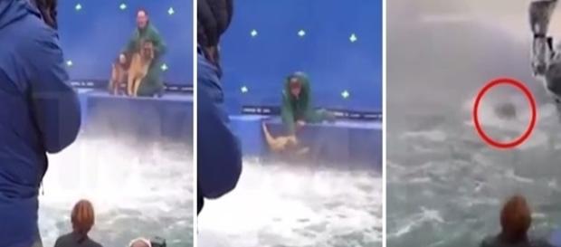 Vídeo viralizou por conta das imagens fortes. Vídeo viralizou por conta das imagens fortes.