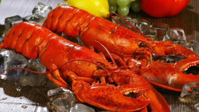 Aragoste, astici e granchi soffrono e ricordano: chi oserà mangiarle? Foto: pixabay