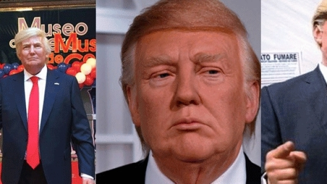 De g. à d. : le Trump de cire madrilène, londonien et romain. La mite Neopalpa donaltrumpican est beaucoup moins attrayante...
