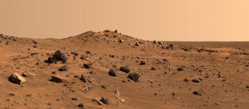 Uomo su Marte: il sogno di Elon Musk diventa reale con SpaceX ... - panorama.it