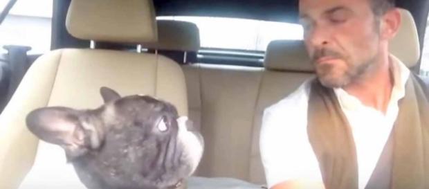 No vídeo abaixo, a dupla canta a versão de Josef Salvat de "Diamonds" - Site shareably.net No vídeo abaixo, a dupla canta a versão de Josef Salvat de "Diamonds" - Site shareably.net