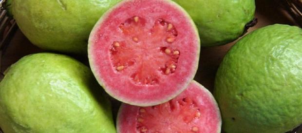 Recomeçar: GOIABA AJUDA NO CONTROLE DA DIABETES. CONHEÇA OUTROS 5 ... - blogspot.com Recomeçar: GOIABA AJUDA NO CONTROLE DA DIABETES. CONHEÇA OUTROS 5 ... - blogspot.com
