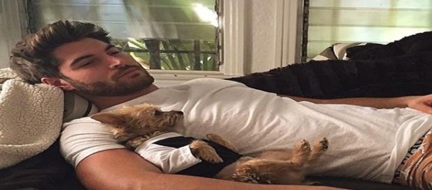 Ter um cão pode te deixar mais sexy. Ter um cão pode te deixar mais sexy.