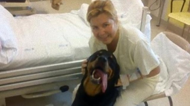 Cani e gatti negli ospedali, da oggi si pu&ograve;.