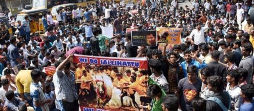 We do Jallikattu: Protests erupt across Tamil Nadu as thousands - southlive.in