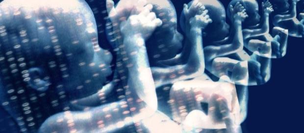 First Genetically Modified Human Embryos Ready To Be Created In UK ... - yournewswire.com First Genetically Modified Human Embryos Ready To Be Created In UK ... - yournewswire.com