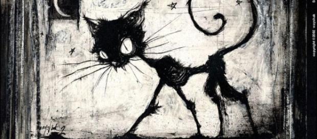 Apología a la historia del gato de Schrödinger Apología a la historia del gato de Schrödinger