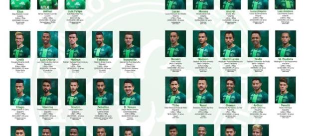 Elenco da Chapecoense 2017 é divulgado Elenco da Chapecoense 2017 é divulgado