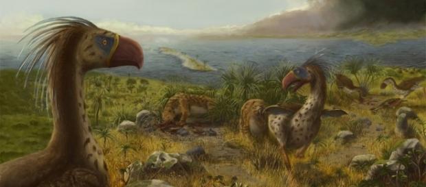 The terror, Prehistoric and Birds on Pinterest - pinterest.com The terror, Prehistoric and Birds on Pinterest - pinterest.com