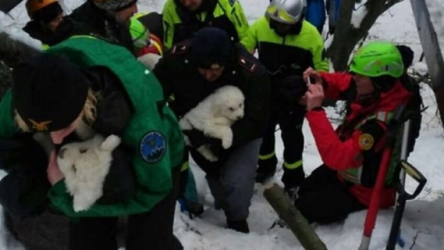 C'&egrave; ancora vita nella neve di Rigopiano