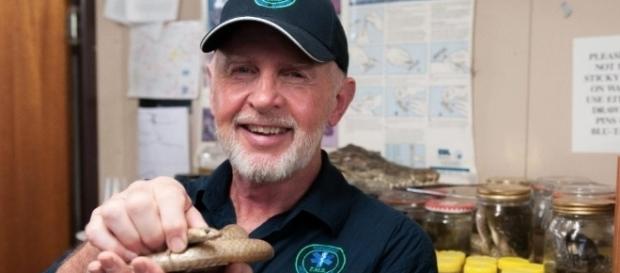 Dr. Bob hält die giftige Braunschlange aus dem Camp / Foto: RTL, Stefan Menne Dr. Bob hält die giftige Braunschlange aus dem Camp / Foto: RTL, Stefan Menne