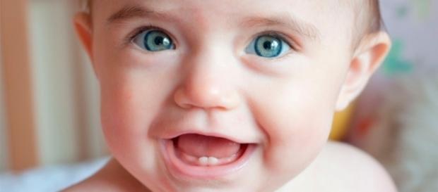 Saiba como cuidar dos dentes do bebê - blog.br Saiba como cuidar dos dentes do bebê - blog.br