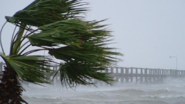 Maltempo in Calabria, disagi a Catanzaro per il forte vento