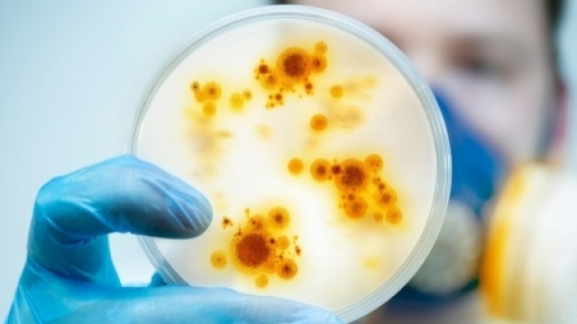 Super batteri resistenti - ilmirino.it - ilmirino.it