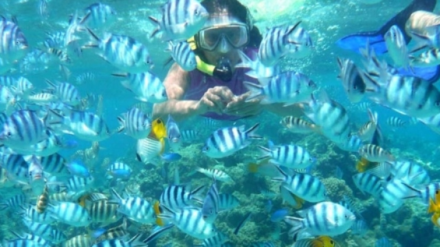 Weightless, la canzone pi&ugrave; rilassante del mondo | Laura Duranti - lauraduranti.it