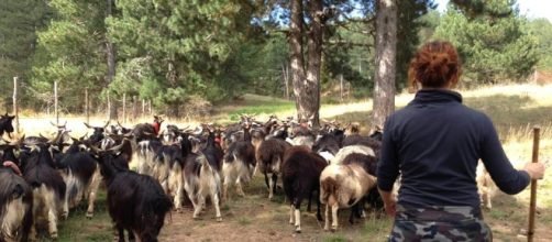 Pastoralismo donna - ruralpini.it