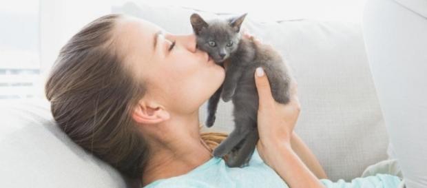 Sintomas extremos de transtorno disfórico pré-menstrual podem ser causados por parasita que vive no organismo de gatos Sintomas extremos de transtorno disfórico pré-menstrual podem ser causados por parasita que vive no organismo de gatos