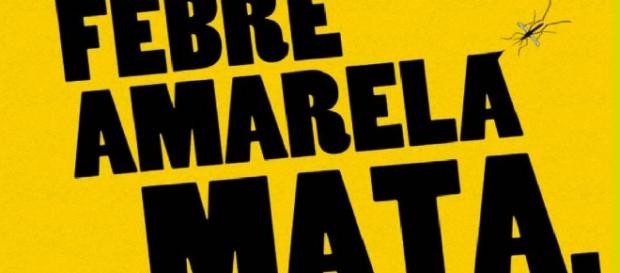 Tomar a vacina, é a principal forma de evitar a febre amarela Tomar a vacina, é a principal forma de evitar a febre amarela