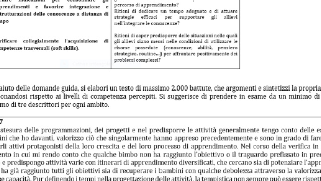 Bilancio delle Competenze gi&agrave; compilato
