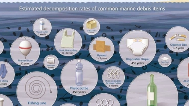 EcologicaLmente: Ripulire l'oceano - blogspot.com