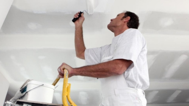 Francia, cercasi 30 imbianchini