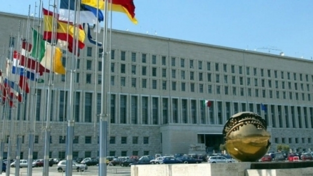 Opportunità per la carriera diplomatica al Ministero degli Esteri