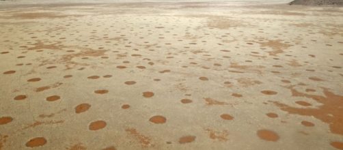 I cerchi fatati sono misteriose formazioni circolari nel desero della Namibia ora spiegate dalla scienza. Foto: diregiovani