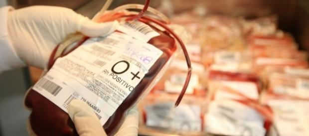 Preocupante: estoque de sangue em queda Preocupante: estoque de sangue em queda