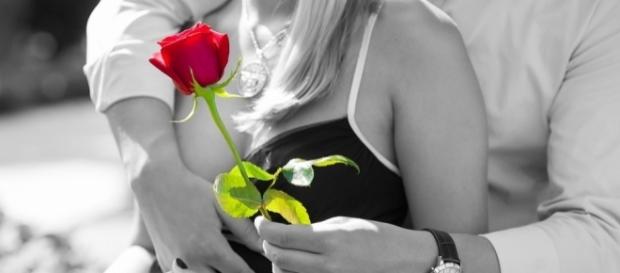 Por vezes, o amor está nos pequenos gestos e não nas grandes palavras (imagem: Pixabay) Por vezes, o amor está nos pequenos gestos e não nas grandes palavras (imagem: Pixabay)