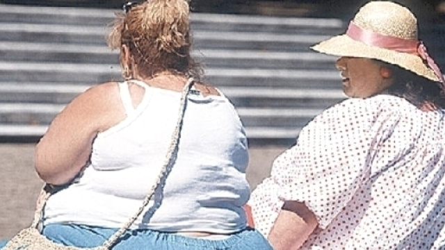 I soggetti obesi presentano una carenza di vitamina D; va integrata se necessario.