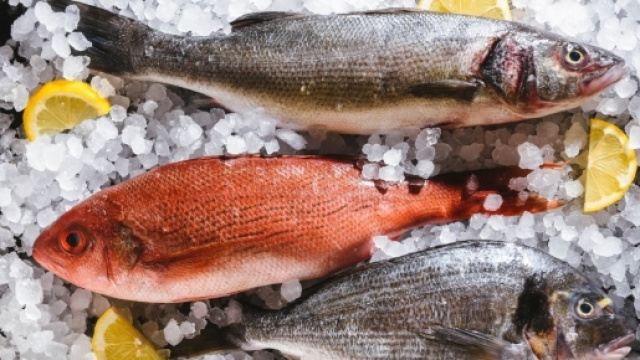 Pesce inquinato: quali specie evitare e quali consumare - ricettacongusto.com