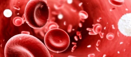 Il sangue umano contiene tra i 4 e i 6 milioni di globuli rossi.