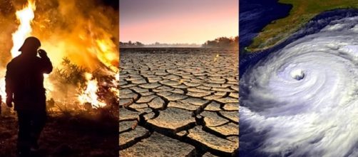 Incedi, siccità e tempeste: le cause del global warming