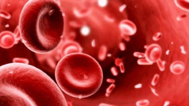 Il sangue umano contiene tra i 4 e i 6 milioni di globuli rossi.